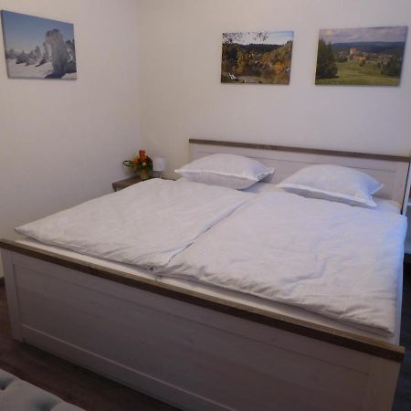 Haus Am Hang Altenau  Buitenkant foto