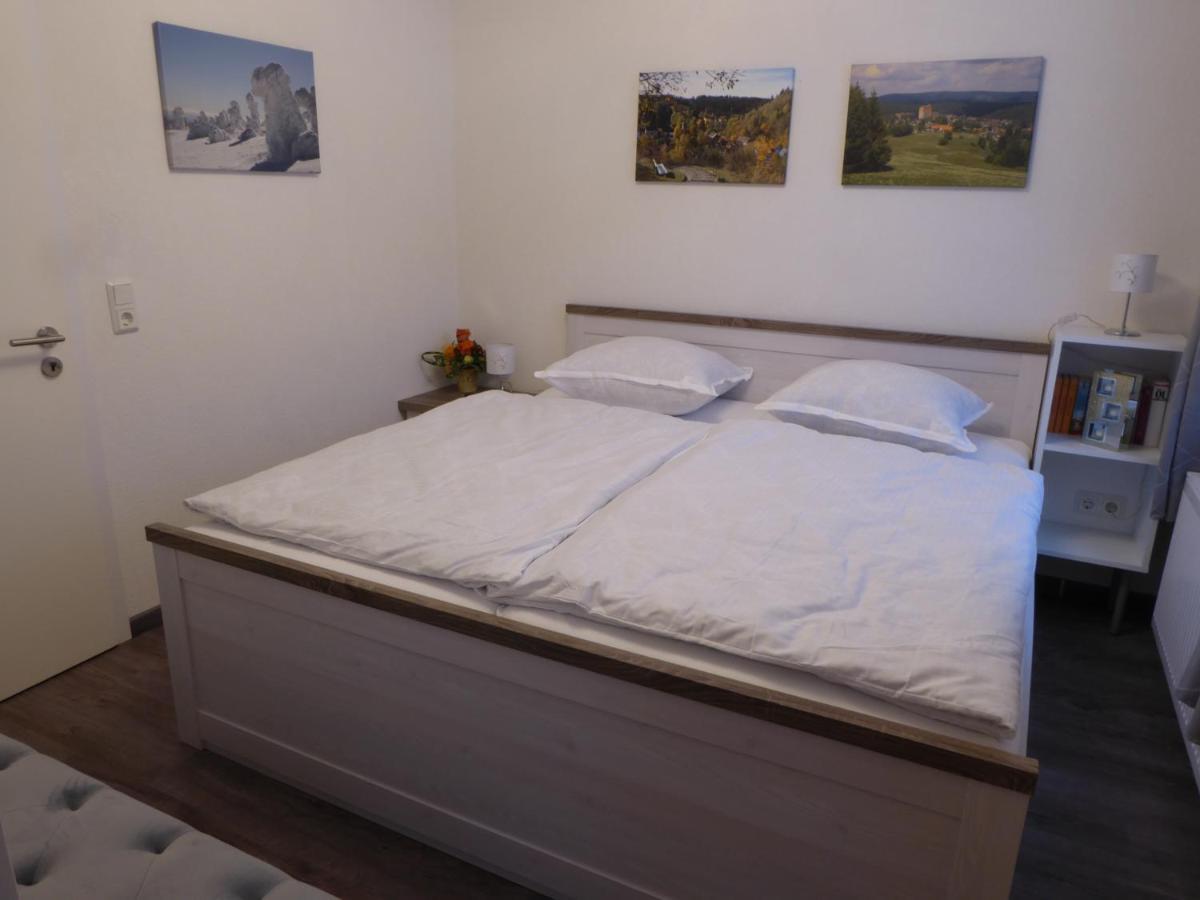 Haus Am Hang Altenau  Buitenkant foto